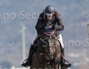 Petckov Al Pacino TosTour2013- S5 2700 : Al Pacino, Arezzo, Arezzo Equestrian Centre, Petkov Ruslan, Toscana Tour 2013, foto di Stefano Secchi ©
